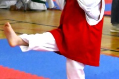 DSC8110
